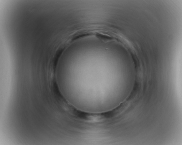 X0000115560417200911131631