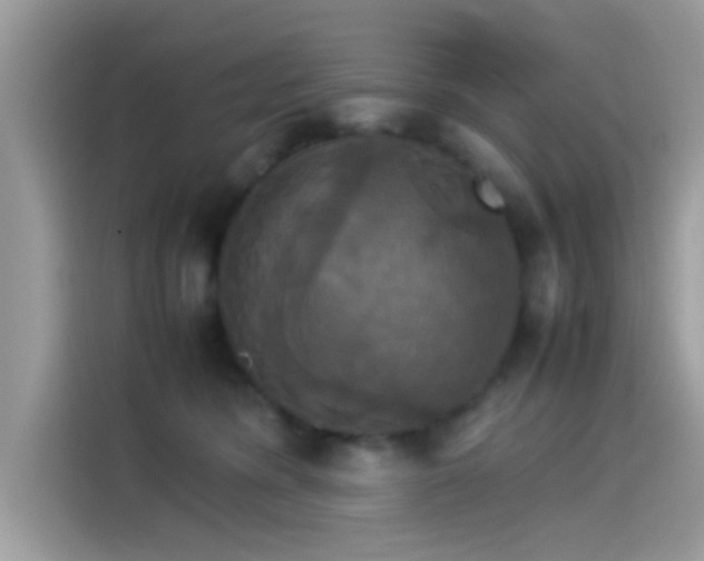 X0000115560420200911131631