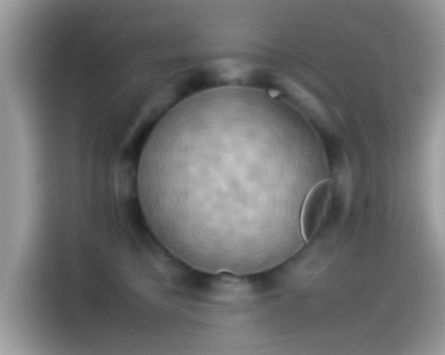 X0000115560421200911131631