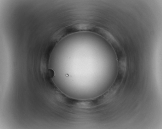 X0000115560422200911131631