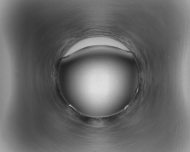 X0000115560423200911131631