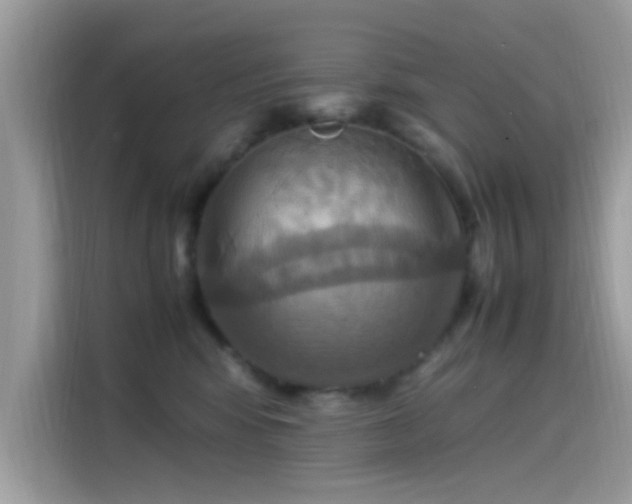 X0000115560424200911131631