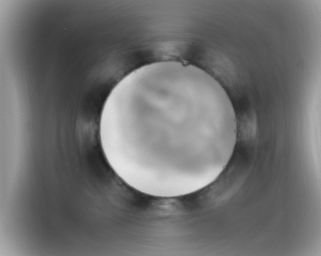 X0000115560427200911131631