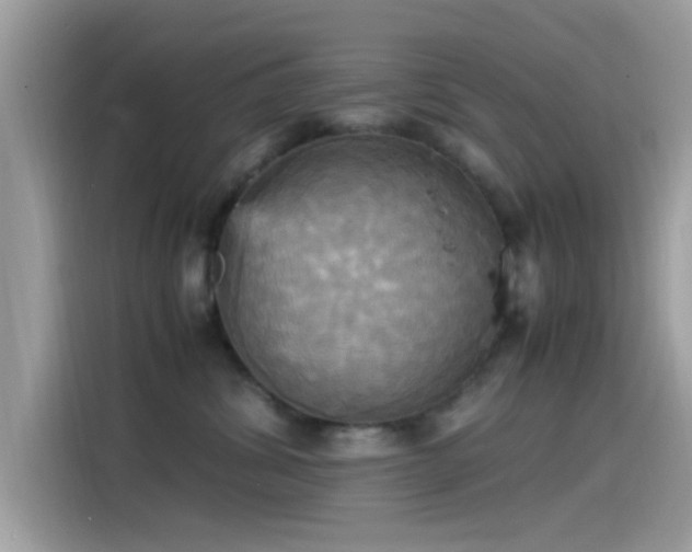 X0000115560428200911131631