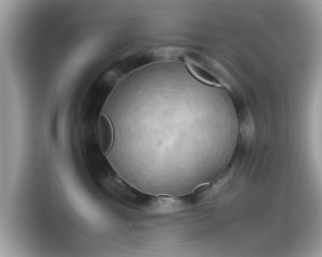 X0000115560429200911131631