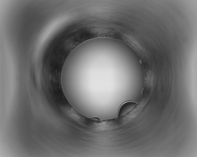 X0000115560430200911131631