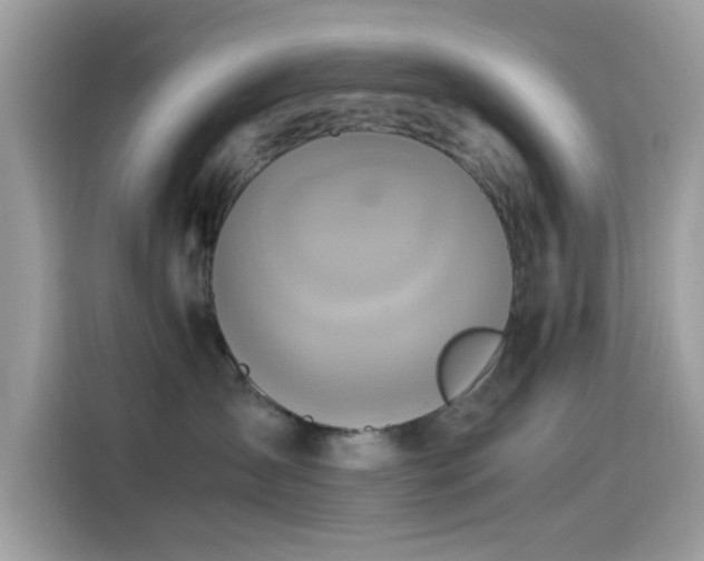 X0000115560431200911131631