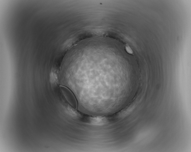 X0000115560432200911131631