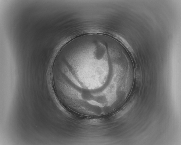 X0000115560433200911131630