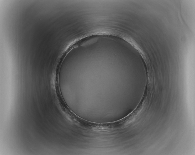 X0000115560434200911131630