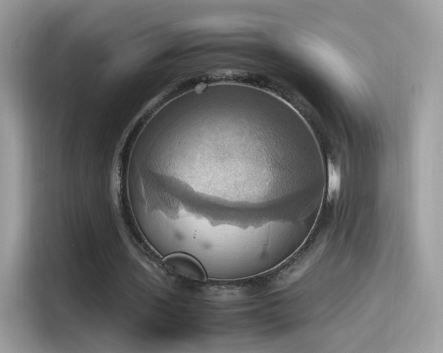 X0000115560435200911131630