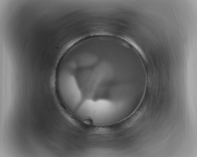 X0000115560437200911131630