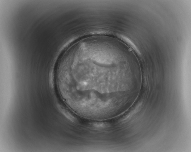 X0000115560439200911131630