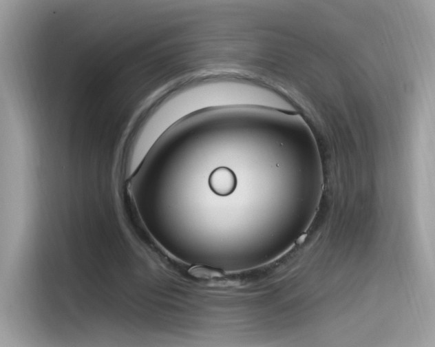 X0000115560440200911131630