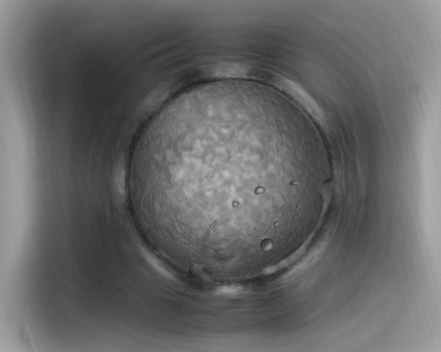 X0000115560441200911131630