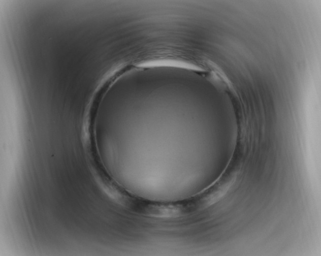 X0000115560443200911131630