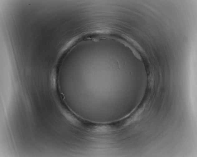 X0000115560446200911131630