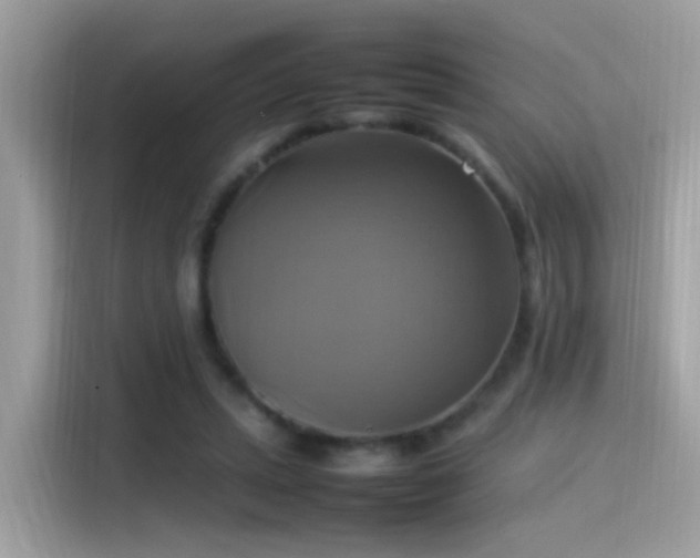 X0000115560447200911131630