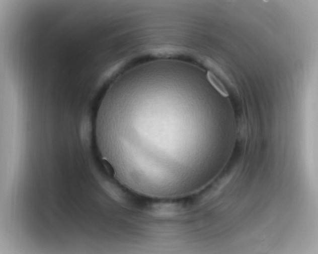 X0000115560448200911131630