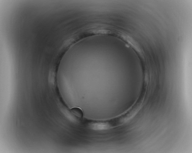 X0000115560449200911131630