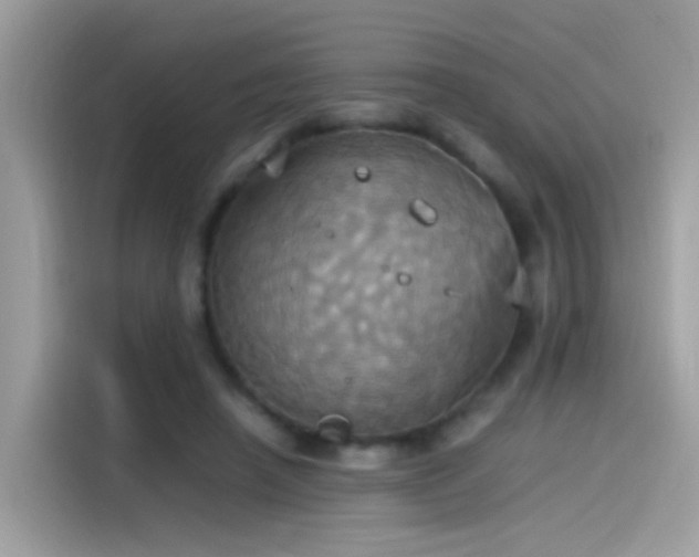 X0000115560450200911131630