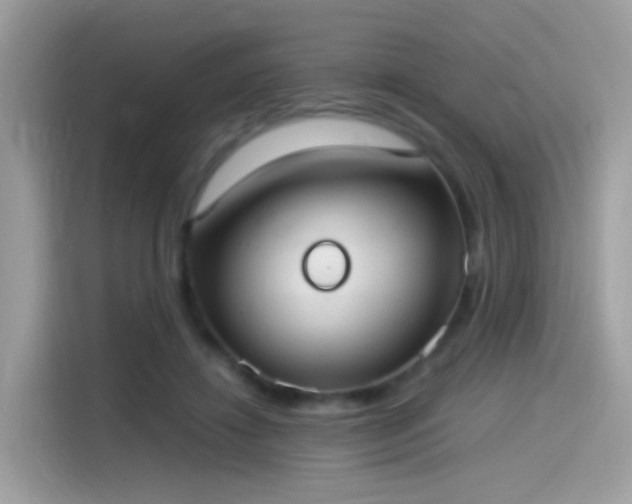 X0000115560452200911131630