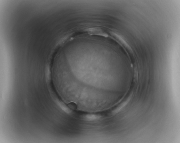 X0000115560453200911131630