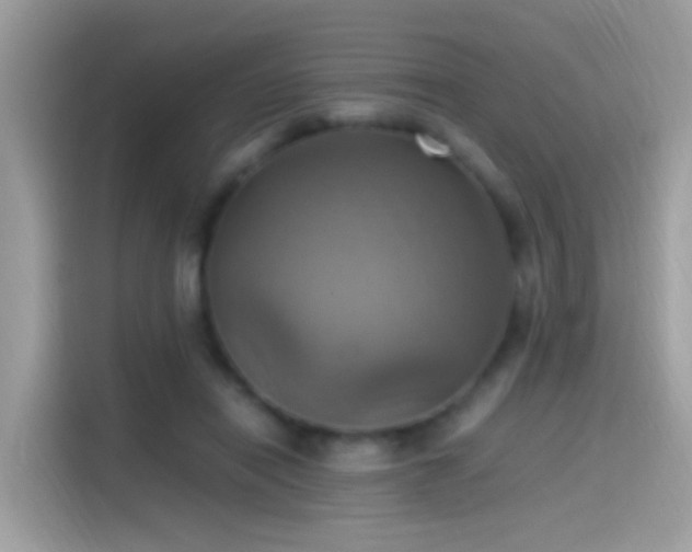 X0000115560454200911131630