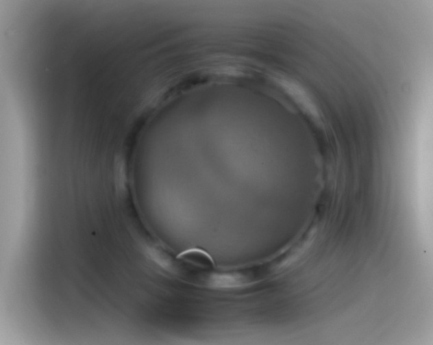 X0000115560457200911131630