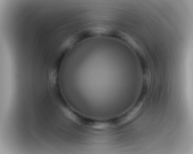 X0000115560458200911131630