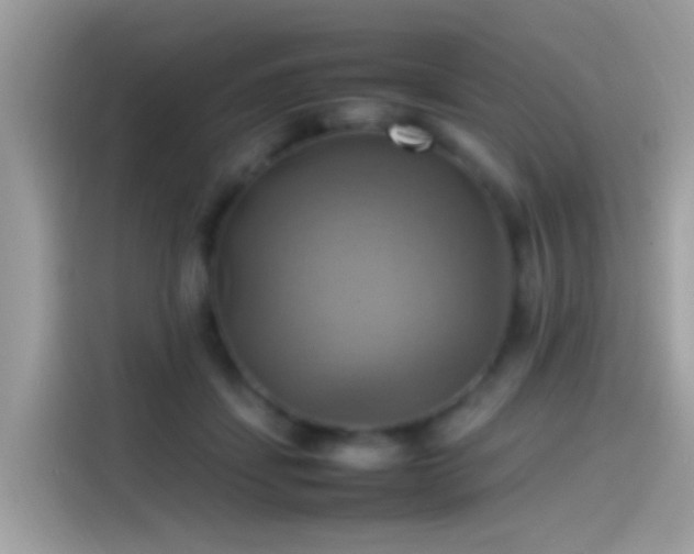 X0000115560459200911131630