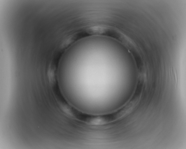 X0000115560460200911131630