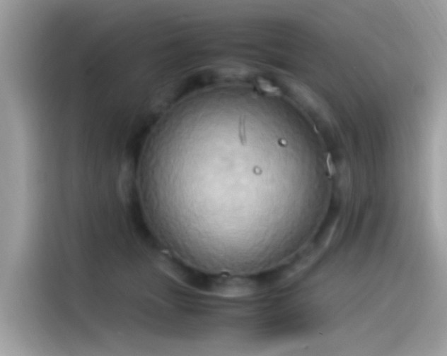 X0000115560463200911131630