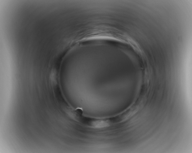 X0000115560465200911131630