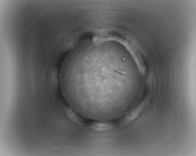 X0000115560466200911131630