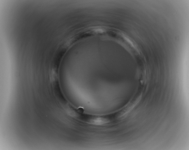 X0000115560467200911131630