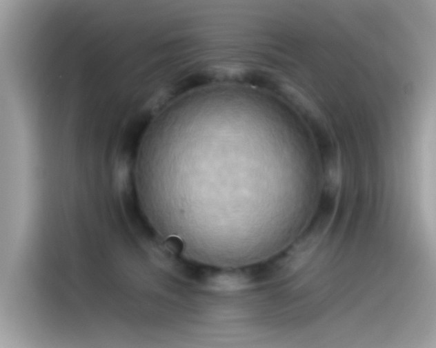 X0000115560468200911131630