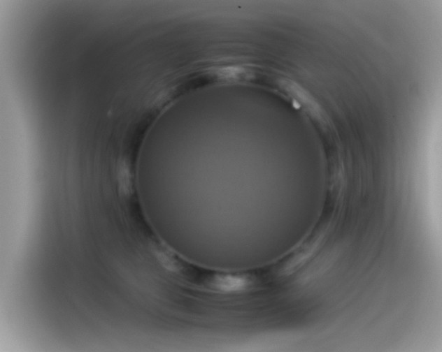 X0000115560469200911131630