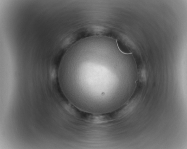 X0000115560472200911131630