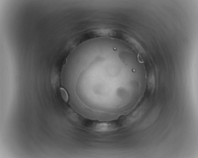 X0000115560473200911131630