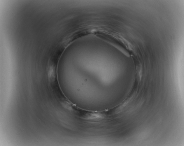 X0000115560475200911131630