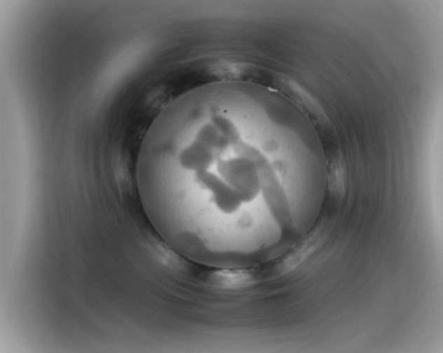 X0000115560477200911131630