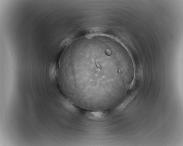 X0000115560478200911131630