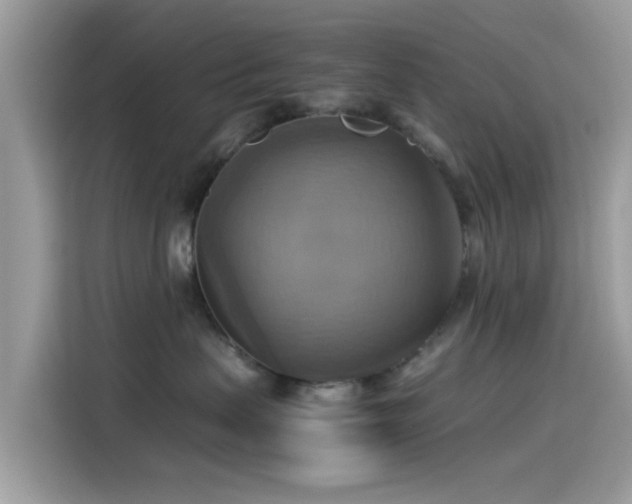 X0000115560479200911131630