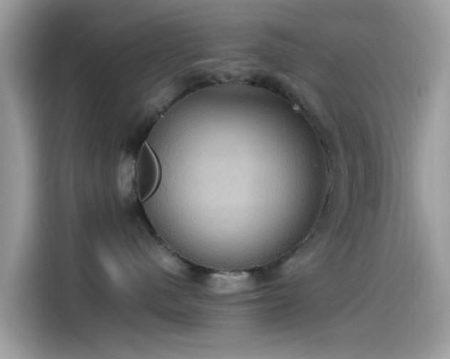 X0000115560480200911131630