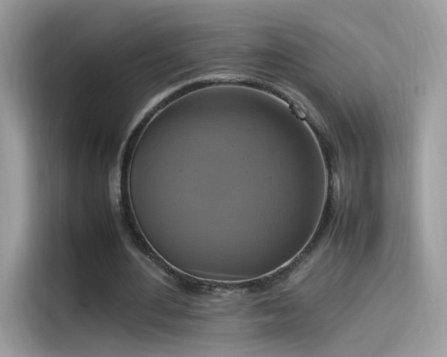 X0000115560484200911131630