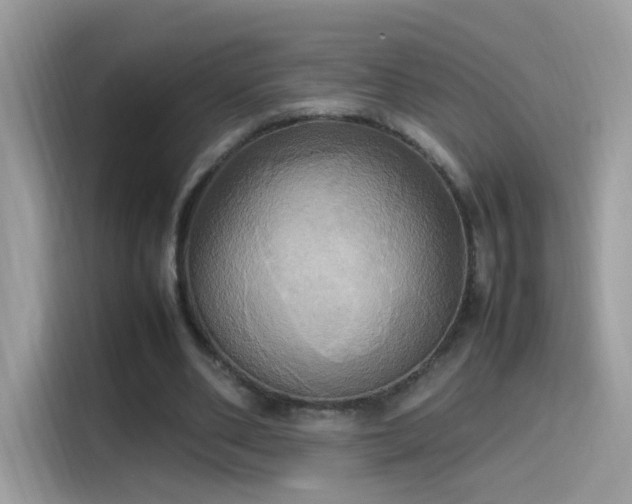 X0000115560486200911131630