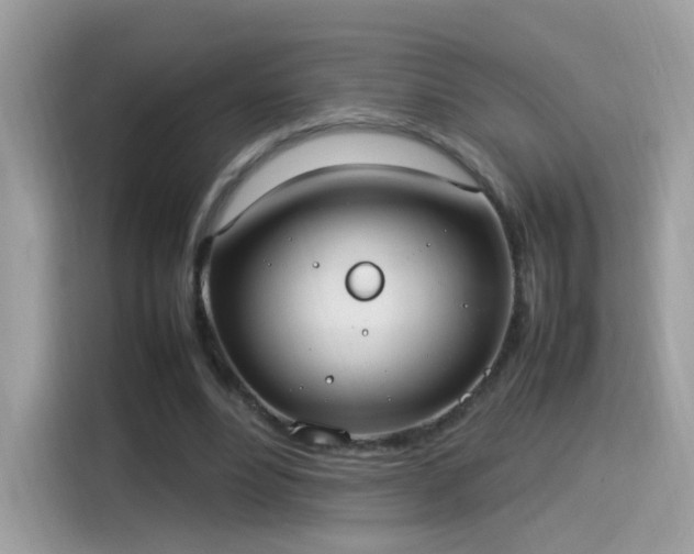 X0000115560488200911131630