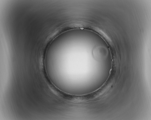 X0000115560489200911131630