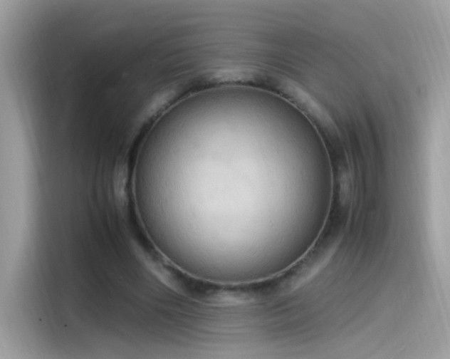 X0000115560490200911131630